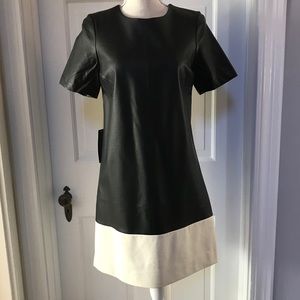 The Limited Faux Leather Cocktail Dress